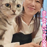 猫カフェデートの後はホテルで思いっきり交尾509077